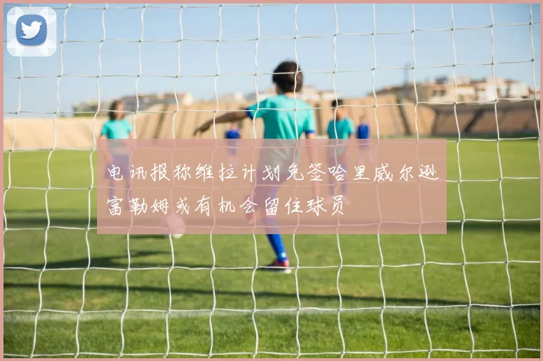 电讯报称维拉计划免签哈里威尔逊富勒姆或有机会留住球员