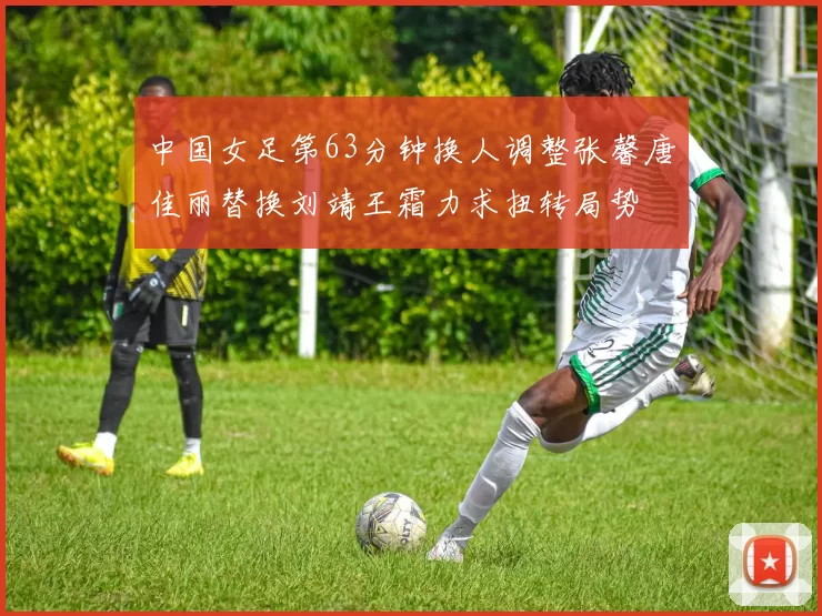 中国女足第63分钟换人调整张馨唐佳丽替换刘靖王霜力求扭转局势